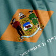 delaware flag